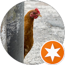 Antonio H profile picture